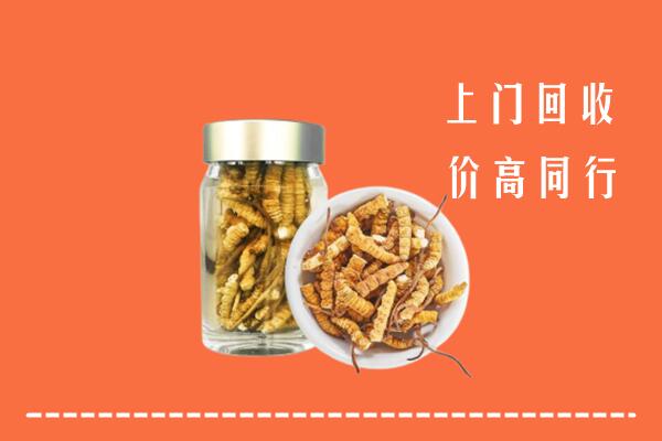犍为县回收冬虫夏草