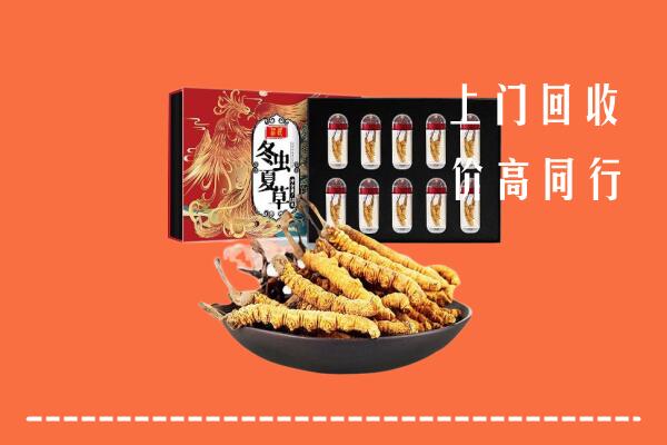 犍为县回收虫草